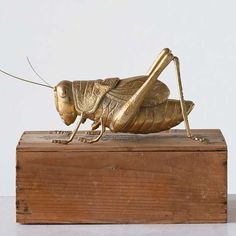 a golden insect sitting on top of a wooden box