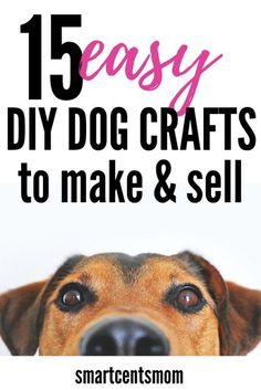 a dog with the words 15 easy diy dog crafts to make and sell on it