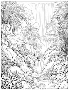 a black and white drawing of a waterfall surrounded by tropical plants, rocks and trees