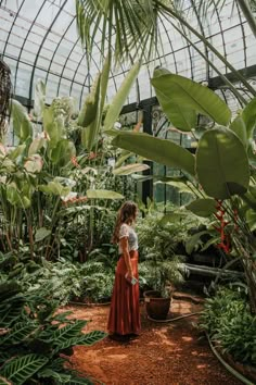 a woman standing in a greenhouse looking at plants