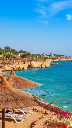 the beach is lined with umbrellas and chairs