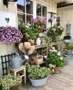 many potted plants and watering cans on a porch