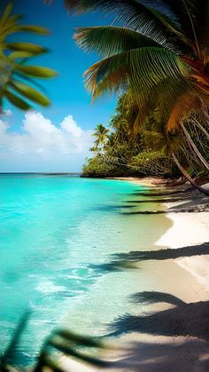 the beach is lined with palm trees and clear blue water