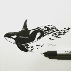 a drawing of an orca whale with fire coming out of its mouth