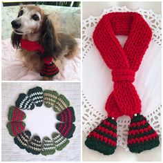 four different knitted scarves and accessories for dogs