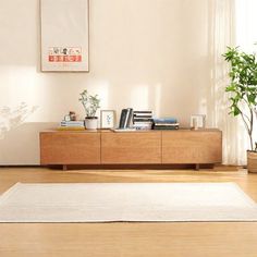 a living room with a white rug and some plants on the side of the wall