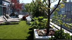 an outdoor patio with lawn chairs and trees in the foreground, overlooking a cityscape