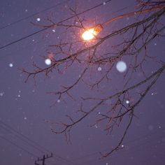 the street light shines brightly on a snowy night with snow flakes all around