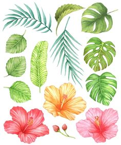 watercolor tropical leaves and flowers