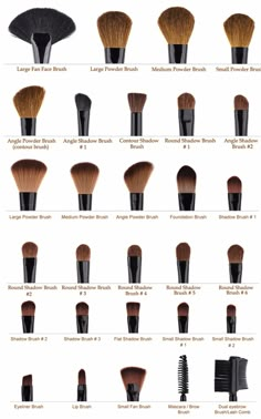 Eye Makeup Guide, Makeup Brush Uses, Membentuk Alis, Mekap Mata, Brush Guide, Tutorial Eyeliner, Blender Sponge, Foundation Brushes, Makeup Order