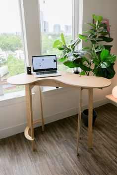 a laptop computer sitting on top of a wooden desk next to a potted plant