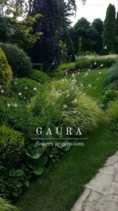 the cover of gaura's book, flowers and inspirations in garden design