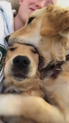 two dogs laying next to each other on top of a person's lap with their eyes closed