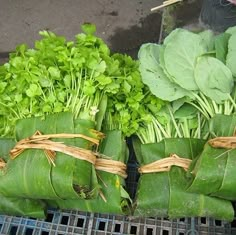 green leafy vegetables are wrapped in brown paper