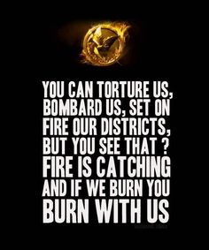 a quote from the movie, catching fire is catching and if we burn you burn with us