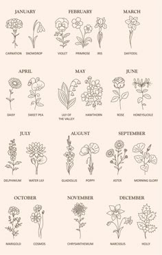 an image of flowers that are in the zodiac sign style for each zodiac sign, which is