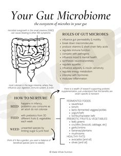 Functional Health, Motivasi Diet, Nutritional Therapy, Tongue Health, Health Research, Hormone Health, Health Knowledge, Holistic Nutrition