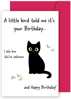 a birthday card with a black cat on it's front and the words, a little bird told me it's your birthday i ate him you're welcome