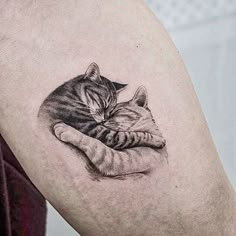 a black and white photo of a cat sleeping on someone's leg with the word love written in it