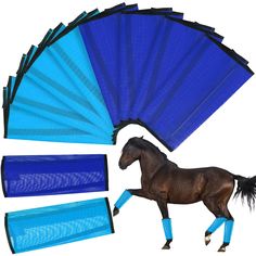 a brown horse standing next to a blue fan and other items on a white background