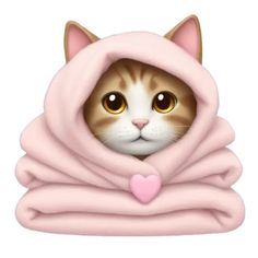 a cat wrapped in a pink blanket with a heart on it's head and eyes