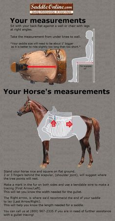 "This  has to be one of the best diagrams and instructions I have ever seen to get the right fit!These are great diagrams and explanations!" Horse Hacks, Horse Barn Ideas Stables, Horse Lessons, Horse Information, Horse Knowledge, Horse Exercises, Horse Care Tips, Horse Facts