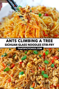 an image of some noodles with chopsticks in it and the words ants climbing a tree