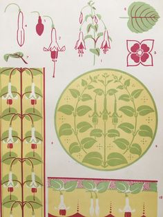 an image of various flowers and plants on a sheet of paper that has been cut out