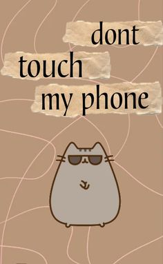 a cat with sunglasses on its face and the words don't touch my phone