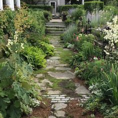 a stone path in the middle of a garden