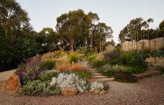 a garden with rocks and plants in the foreground, surrounded by trees on either side