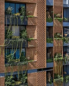 an apartment building with plants growing on the side