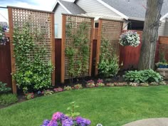 a garden with purple flowers and green grass in front of a wooden trellis fence