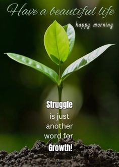 a green plant with the words, have a beautiful life happy morning struggle is just another word for growth