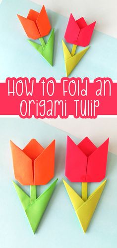 how to fold an origami tulip - step by step instructions for kids