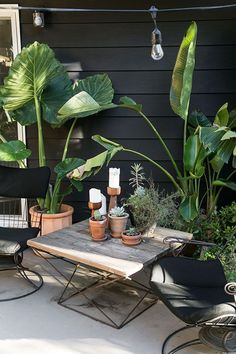 an outdoor patio with potted plants on the table and two chairs in front of it