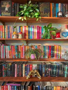 a bookshelf filled with lots of colorful books next to a potted plant