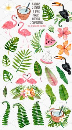 watercolor tropical clipart set with flamingos, leaves and other flowers on white background