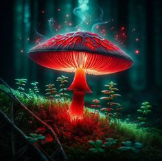 a red mushroom sitting on top of a lush green forest filled with lots of leaves