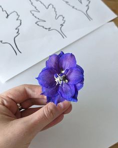 a person holding a purple flower in their left hand