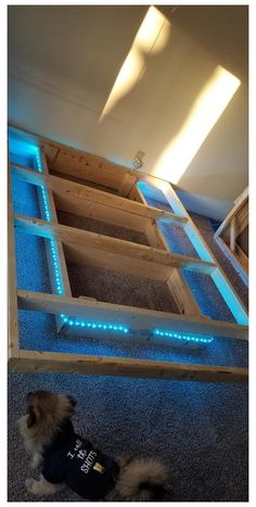 a dog laying on the floor in front of a bed frame with blue leds