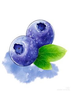 two blueberries with green leaves and water droplets