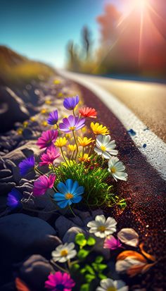 colorful flowers are growing on the side of an asphalt road in front of some rocks