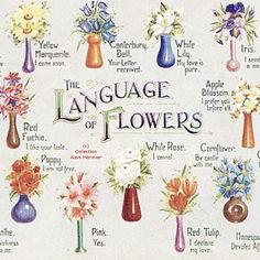 the language of flowers in different vases on a white background with words above them