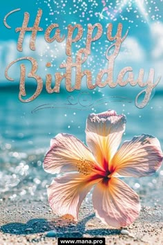 a happy birthday card with a flower on the beach and sparkles in the background