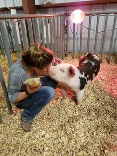 a woman is feeding a baby cow some food