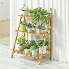 3-Tier Bamboo Plant Stand - Wnkrs Patio Flower Pots, Ladder Plant Stand, Pot Display, Plant Ladder, Bamboo Flower, Bamboo Ladders, Ladder Stands, Folding Shelf, Contemporary Shelving