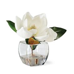 With a single white magnolia, you can add beautiful, lifelike floral decor to any space. Durably constructed, it is presented in a glass vase with innovative material that mimics water.Lifelike faux greenery. Glass vase. Fluff and shape greenery after unpacking. For indoor use. Wipe clean with a soft, dry cloth. Made in USA. At Frontgate, our primary focus is quality. We guarantee that every product we sell will stand up to the supreme test   our customers' satisfaction. To learn more about our Faux Greenery Decor, Square Glass Vase, Flowers To Paint, Greenery Decor, Square Vase, White Magnolia, Faux Greenery, Floral Decor, Artificial Flowers