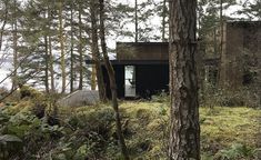 a house in the woods with trees and grass on the ground next to it's entrance