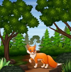 an orange fox standing in the middle of a forest